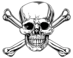 scull & cross bones